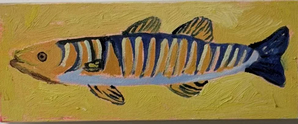 Small Catch II, oil on canvas, 2026, by Ayesha Abbas Khan